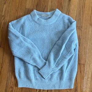 Everlane Alpaca Crew Light Blue Sweater